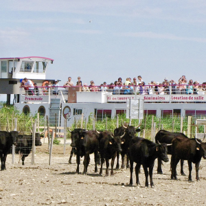 Journée Croisière et Tradition