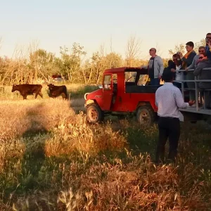 Visite de la Manade - 1h30