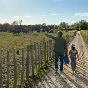 Sentier Pédestre - 1h00